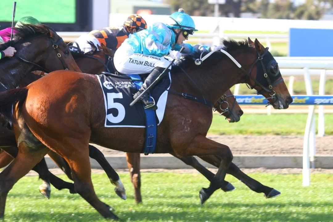 Picture of the author