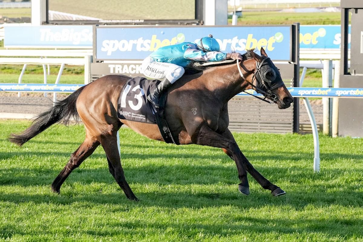 Picture of the author