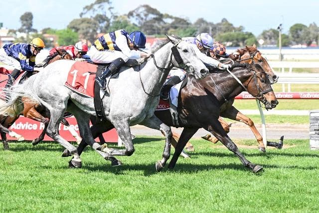 Dubai Watch Wins His Spot Into the VRC Grand Handicap